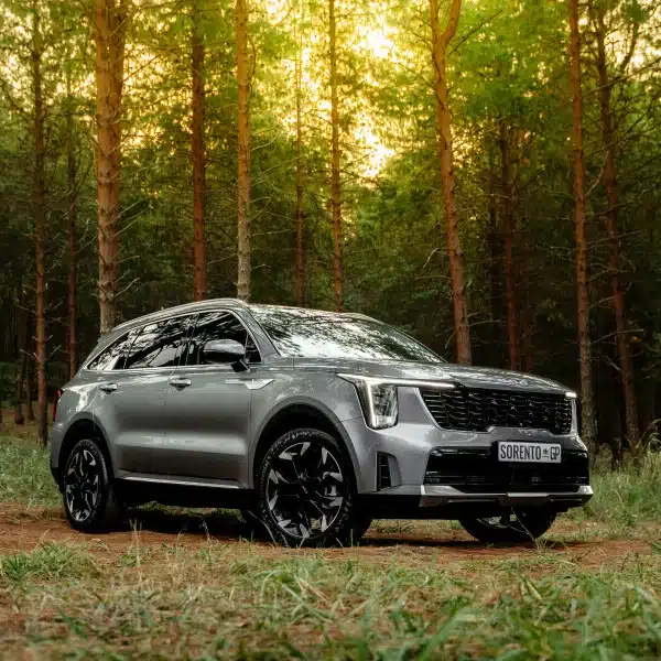 Kia Sorento parked in a sunlit forest
